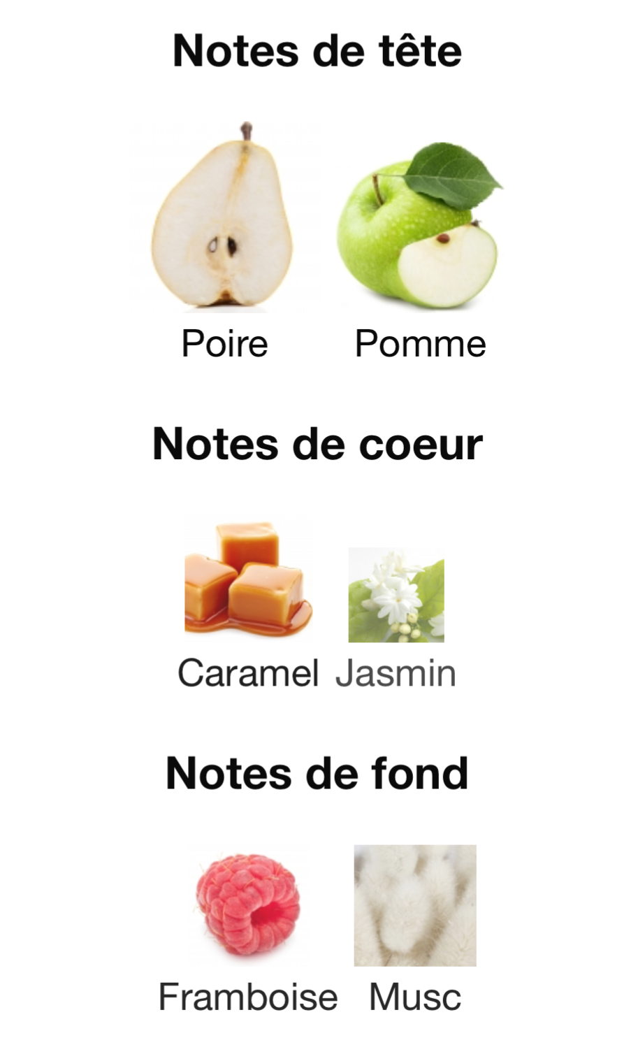 Pear potion Mixte