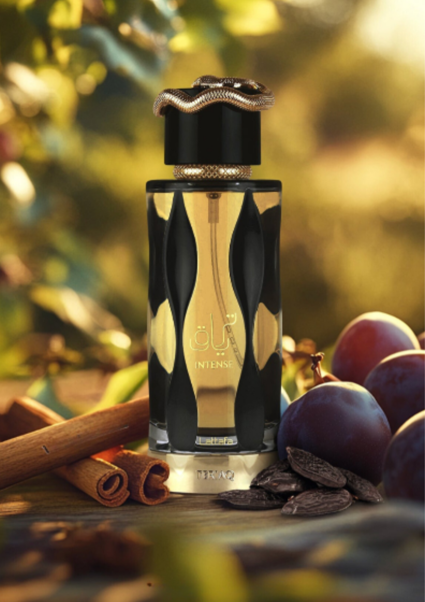 Teriaq Intense - mixte