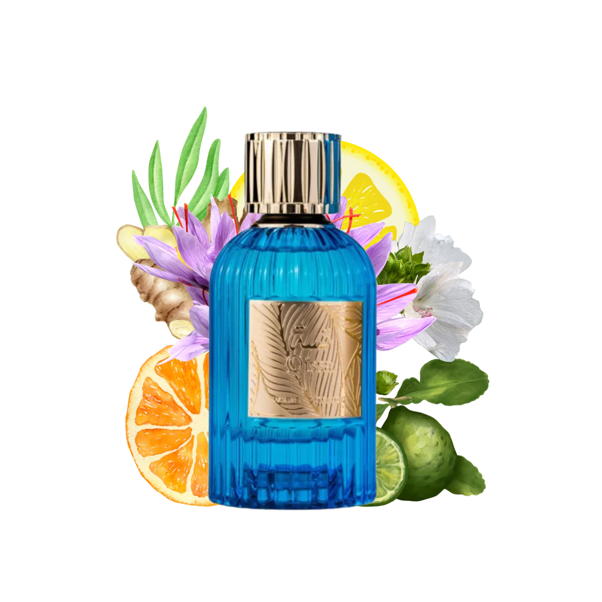 Qissa Blue mixte